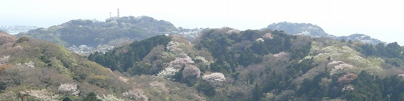 鎌倉の谷(谷の旧跡)